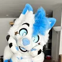 @bluefoxnova