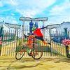 boedyboedy0