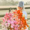 fancygirlfarms