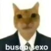 wazabico
