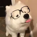 @rawrted9