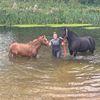 charlotte.equestr