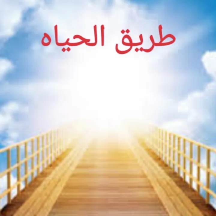 @user9959234293840