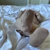 chloebecomesmuma