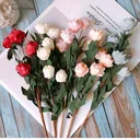 @.rosefinds