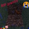 soldado__minecraft