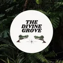 @thedivinegroveshop