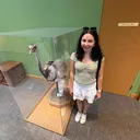 @beevlogging