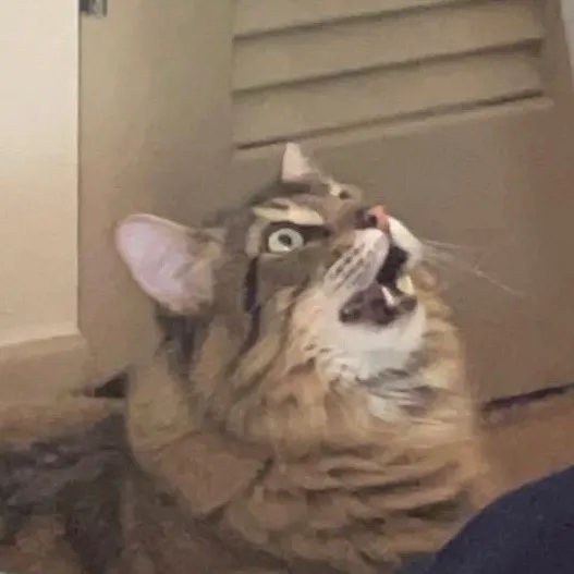 notkyndel