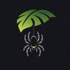 thespiderconservatory