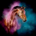 @andreazachrau_photo
