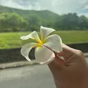 @kaiivvvvv