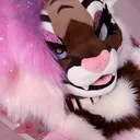 @akari.kitsune