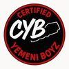 cyb_313