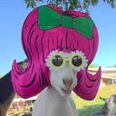 @coddiwompleton
