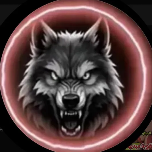 @midou_wolf3