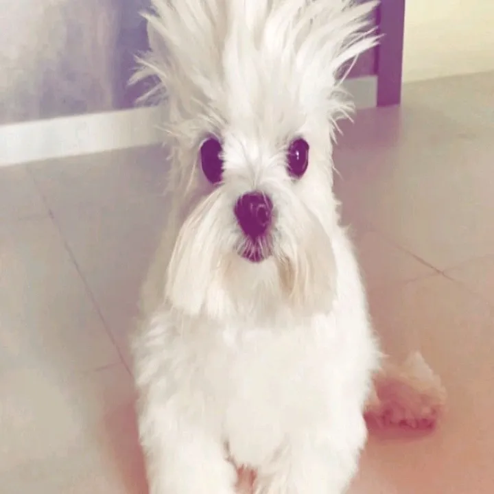 @bananalatte1094939