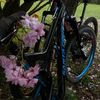 i_ride_santa_cruz