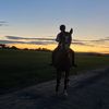 _.x.equestrian.x._