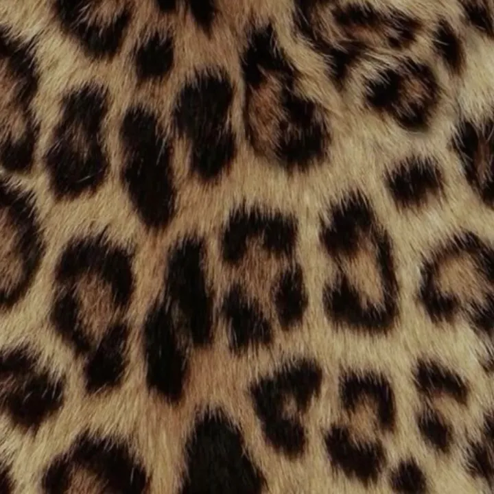kamy__j2