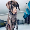 @monty..bear_00