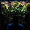 troys_tropical_garage