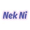 dapurnenekni