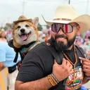 @pawdredecorgi