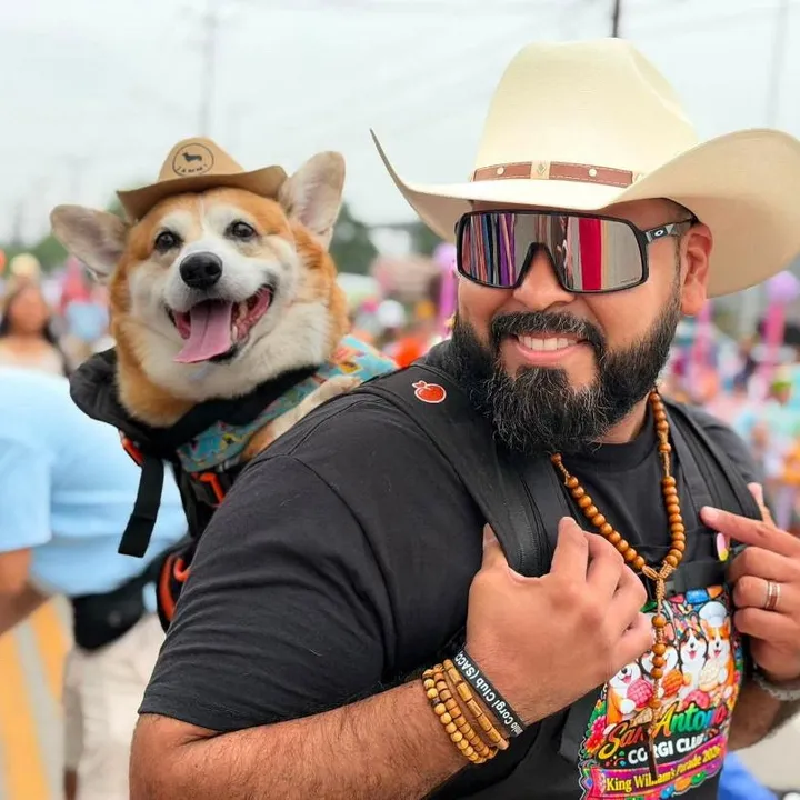pawdredecorgi