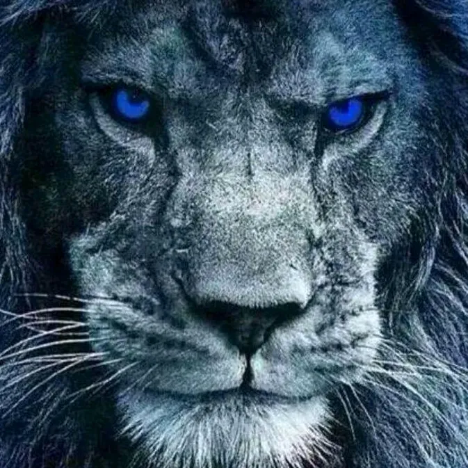 @thelion2710