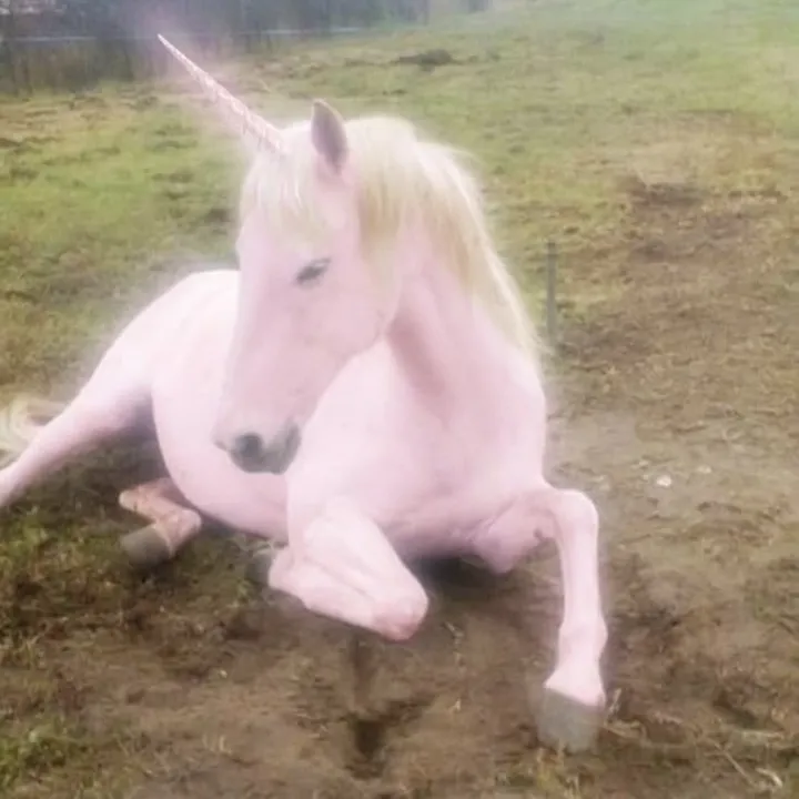 cupid_lps0