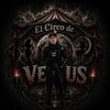 teamvenus4oficial