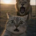@cele.film8