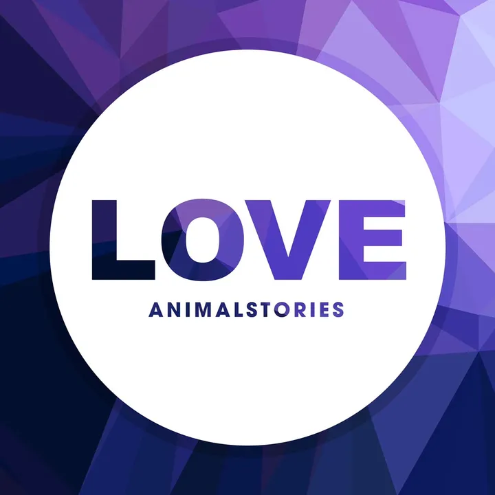animals.stories46