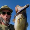 chasinfish