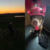 clive_bikes