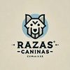 razascaninas7