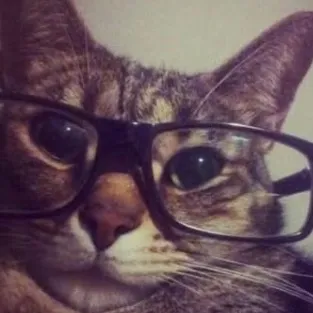 blgmeowza