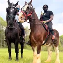 @cowboyloochie