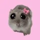@bangalipookie02