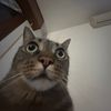 andrew.spam_