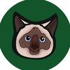 turbbo_cat543