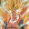 rgokub