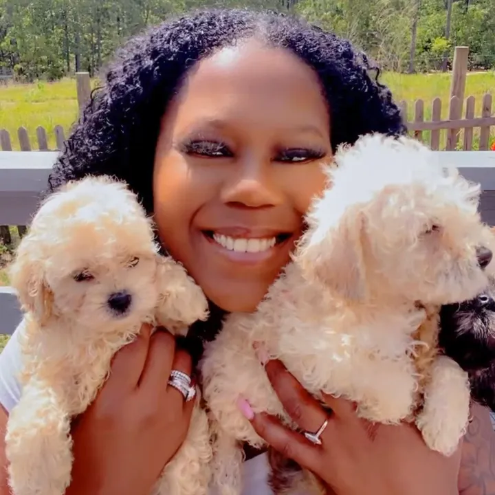 @tinytotsqualitykennels1