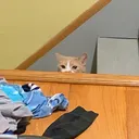 @kyeags