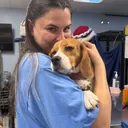 @raretherescue