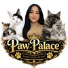 pawpalacemainecoon