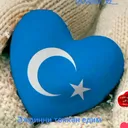 @user1546234134205