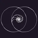 @perceptiveperspective