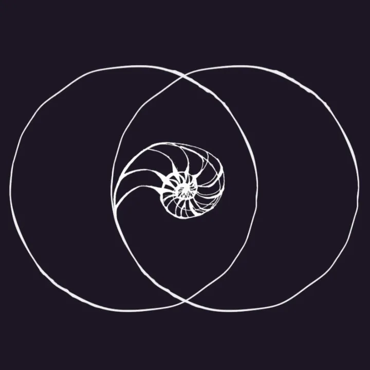 @perceptiveperspective
